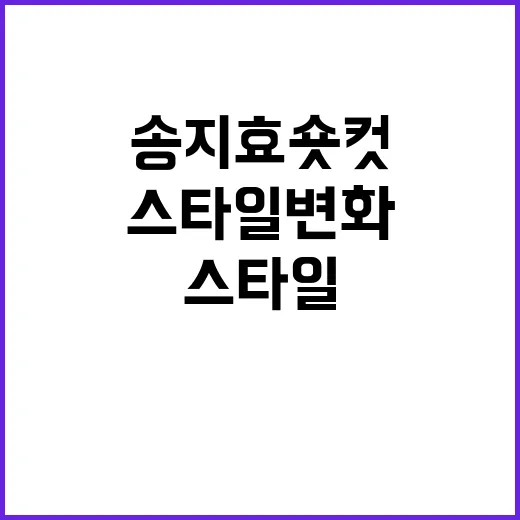 송지효 숏컷 스타일 변화 따라하기 - 요약