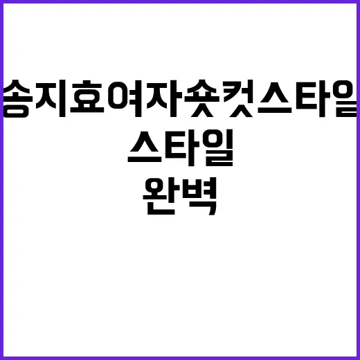 송지효 여자 숏컷 스타일을 완벽하게 소화하는 방법 - 요약