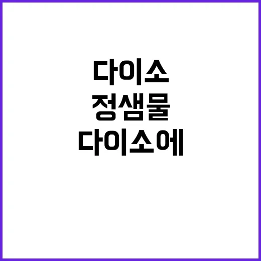 다이소에서 정샘물 스타일링 제품 활용하는 방법 - 요약