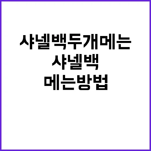 샤넬백 두 개 메는 방법: 스타일과 실용성을 동시에 - 요약