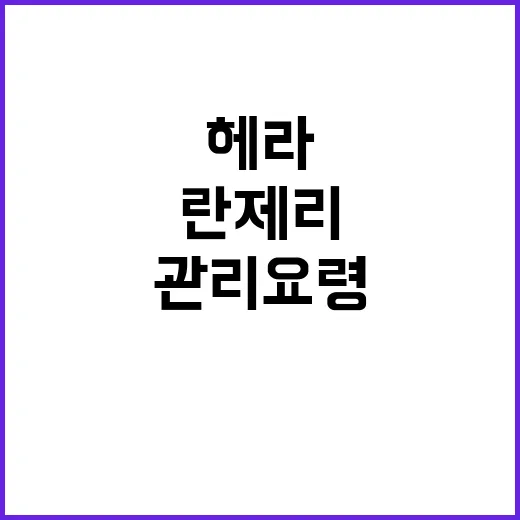 헤라 란제리를 선택하는 방법과 관리 요령 - 요약