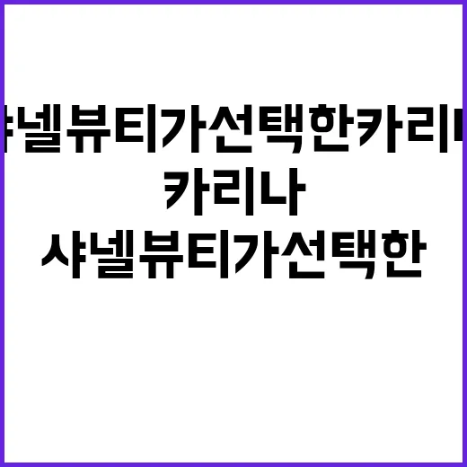 샤넬 뷰티가 선택한 카리나처럼 매력적으로 변신하는 방법 - 요약