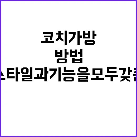 코치 가방을 선택하는 방법: 스타일과 기능을 모두 갖춘 선택 - 요약