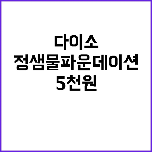다이소에서 5천원으로 정샘물 파운데이션 활용하는 방법 - 요약