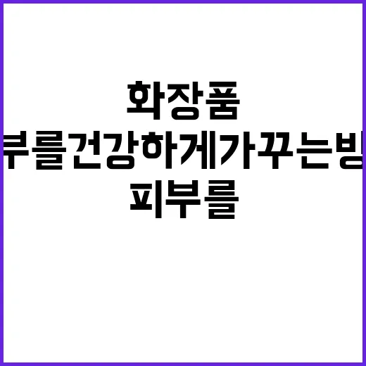 PX 화장품을 활용하여 피부를 건강하게 가꾸는 방법 - 요약