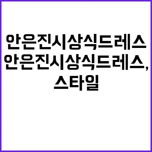 안은진 시상식 드레스, 스타일을 어떻게 평가할까? - 요약