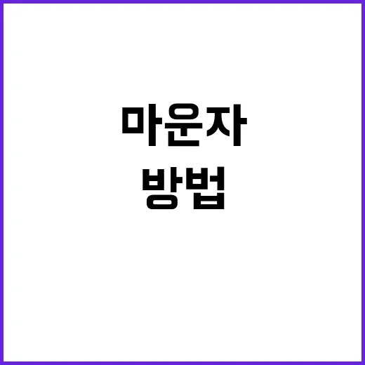 마운자를 합리적으로 구매하는 방법 - 요약