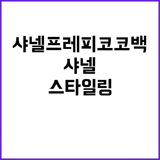 샤넬 프레피 코코백으로 스타일링하는 방법 - 요약