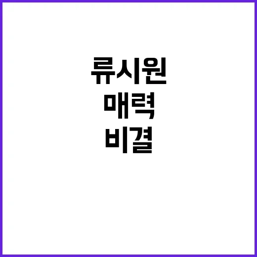 류시원을 알아가는 방법: 그의 매력과 인기 비결 - 요약