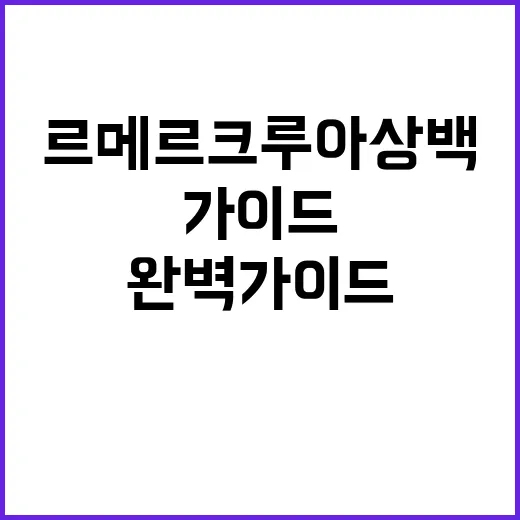르메르 크루아상백, 스타일링 완벽 가이드 - 요약