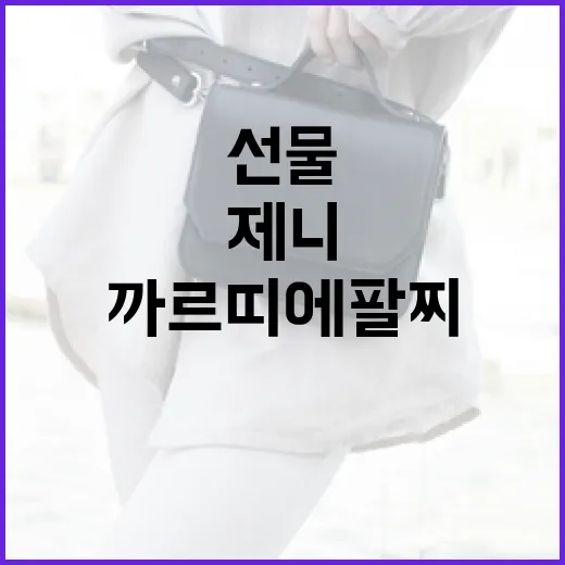 제니를 위한 특별한 까르띠에 팔찌 선물하는 방법 - 요약