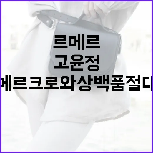 고윤정처럼 르메르 크로와상백 품절 대란에 대비하는 방법 - 요약