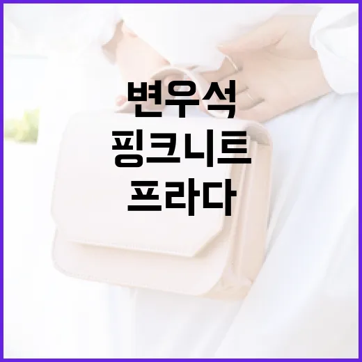 변우석 프라다 핑크 니트 스타일링하는 방법 - 요약