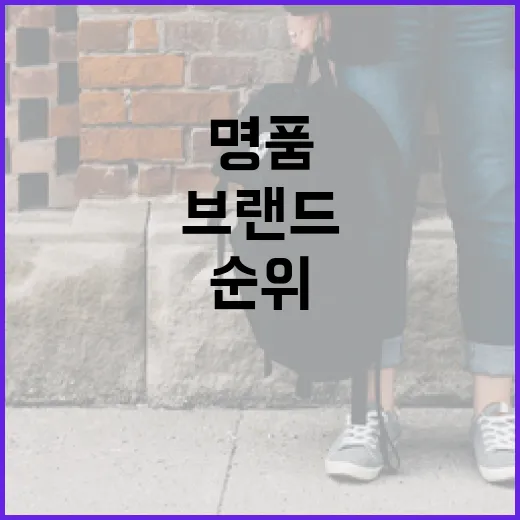 명품 브랜드 순위를 이해하는 방법 - 요약
