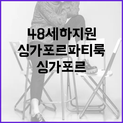 48세 하지원의 싱가포르 파티룩 스타일링 방법 - 요약