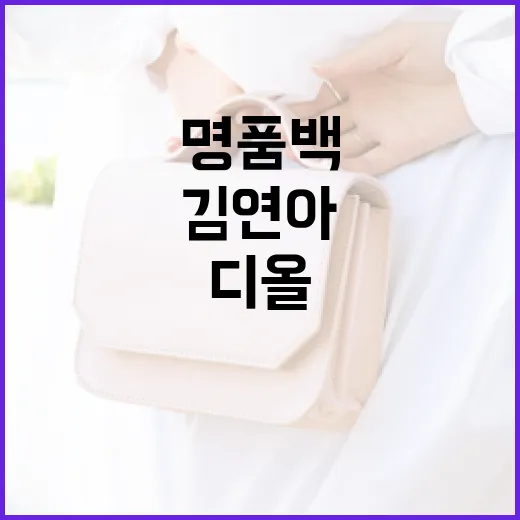 김연아와 디올 명품백 논란을 이해하는 방법 - 요약