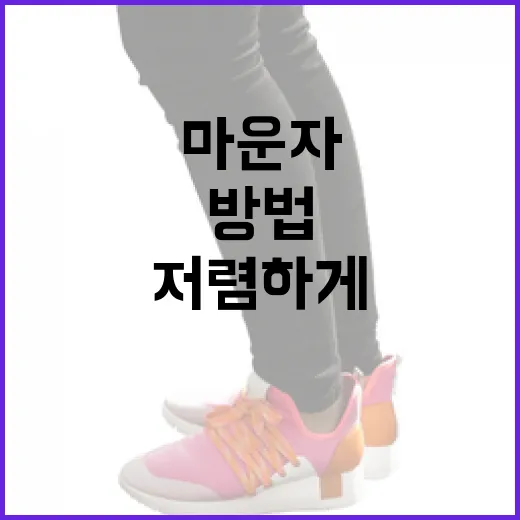 마운자를 저렴하게 구매하는 방법 - 요약