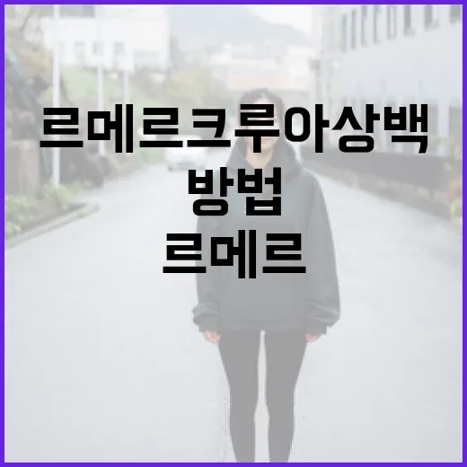 르메르 크루아상백을 스타일리시하게 활용하는 방법 - 요약