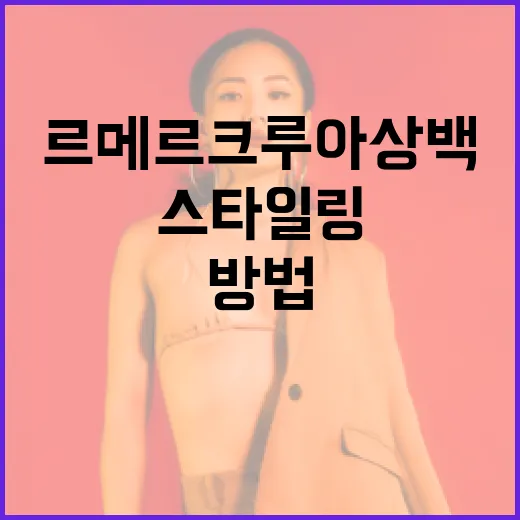 르메르 크루아상백을 스타일링하는 방법 - 요약