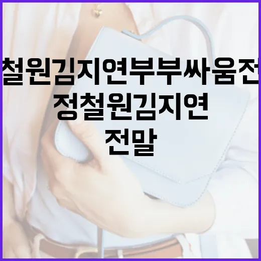 정철원 김지연 부부싸움 전말을 이해하고 해결하는 방법 - 요약