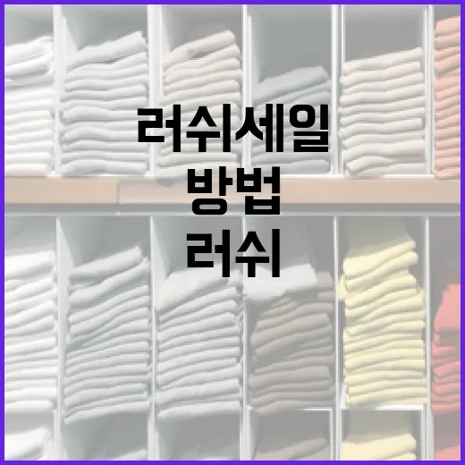 러쉬 세일을 최대한 활용하는 방법 - 요약