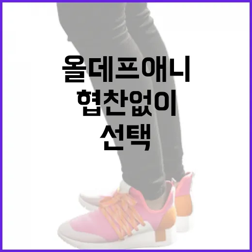 명품 협찬 없이도 빛나는 올데프 애니 가방 선택 방법 - 요약