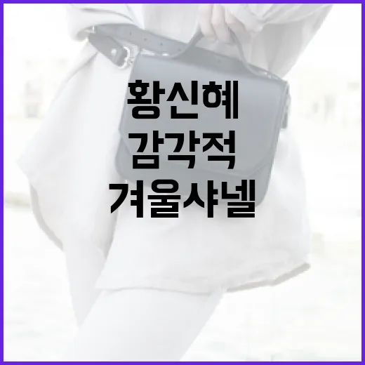 황신혜처럼 감각적으로 겨울 샤넬 코디하는 방법 - 요약