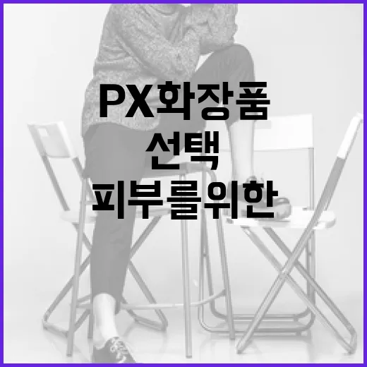 피부를 위한 최적의 선택: px 화장품 활용법 - 요약
