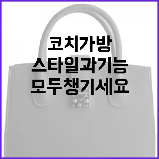 코치 가방을 고르는 방법: 스타일과 기능을 모두 챙기세요 - 요약