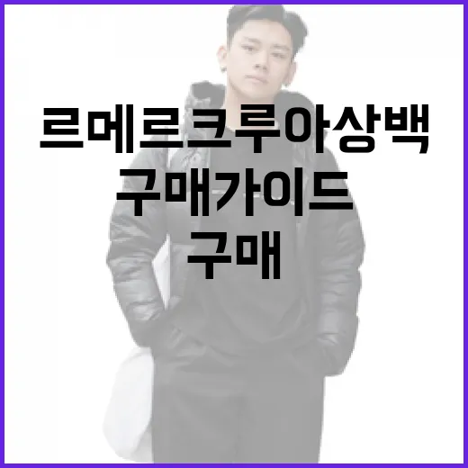 르메르 크루아상백 구매 가이드: 스타일리시하게 활용하는 방법 - 요약