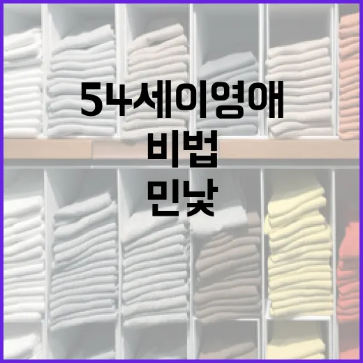 54세 이영애의 민낯 관리 비법을 배우는 방법 - 요약