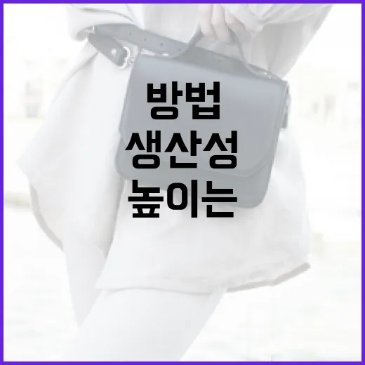 맥 쿨테디로 생산성 높이는 방법 - 요약