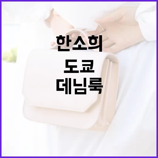 한소희의 도쿄 데님룩 따라하기: 스타일링 팁과 쇼핑 가이드 - 요약