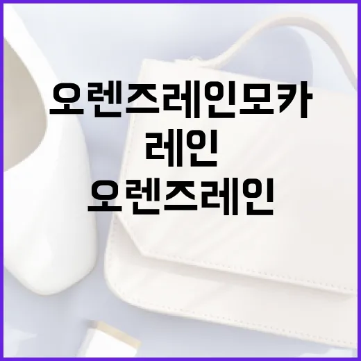 오렌즈 레인모카를 즐기는 방법: 초보자를 위한 가이드 - 요약