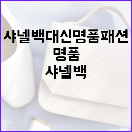 샤넬백 대신 명품 패션을 선택하려면 이렇게! - 요약