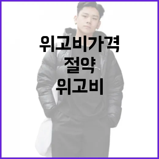 위고비 가격을 절약하는 방법 - 요약