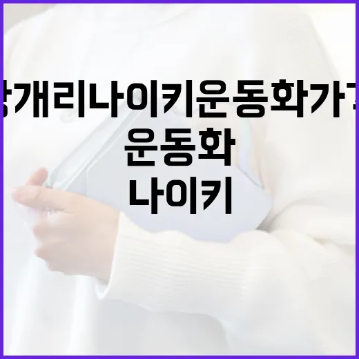 강개리 나이키 운동화 가격 알아보는 방법 - 요약