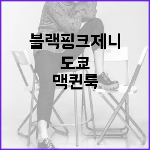 블랙핑크 제니처럼 도쿄에서 맥퀸룩 소화하는 방법 - 요약