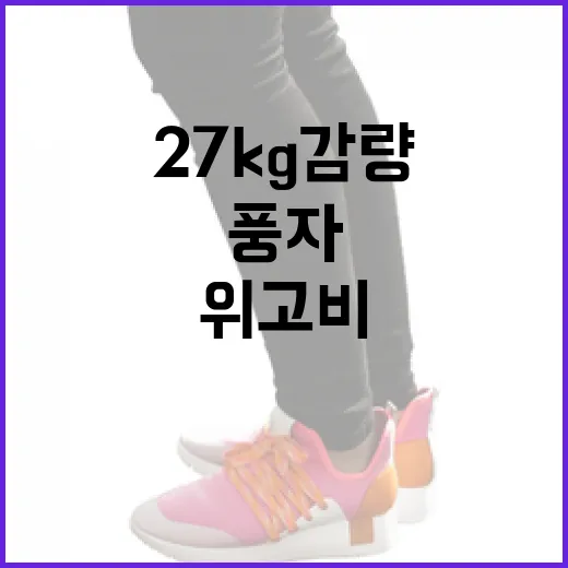 풍자를 활용해 위고비로 27kg 감량에 성공하는 방법 - 요약