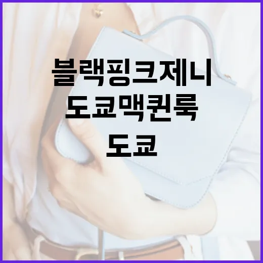 블랙핑크 제니의 도쿄 맥퀸룩 따라하기