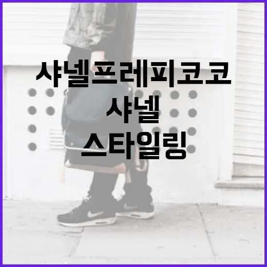 샤넬 프레피코코 스타일링하는 방법 - 요약