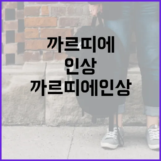 까르띠에 인상을 이해하고 준비하는 방법 - 요약