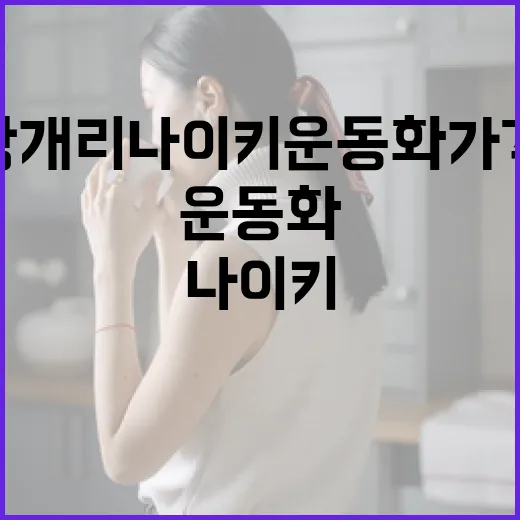 강개리 나이키 운동화 가격 알아보는 방법 - 요약