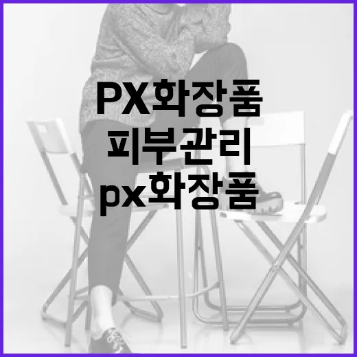 px 화장품을 활용한 피부 관리 방법 - 요약