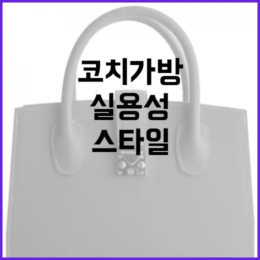 코치 가방을 선택하는 방법: 스타일과 실용성을 고려하세요 - 요약