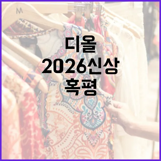 디올 2026 신상 혹평을 받는 이유와 대처 방법 - 요약