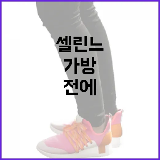 셀린느 가방을 구매하기 전에 알아야 할 5가지 - 요약