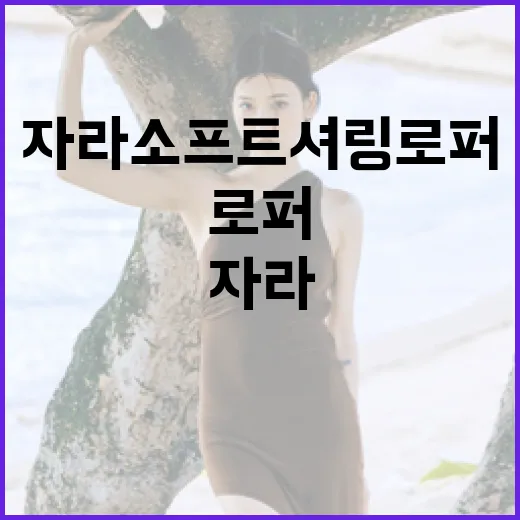 자라 소프트 셔링 로퍼 스타일링 방법 - 요약