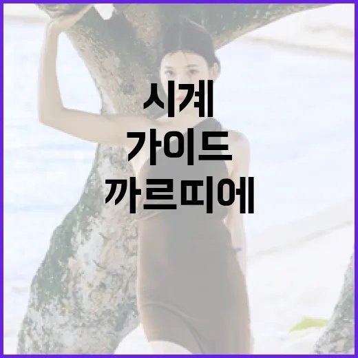 까르띠에 시계를 구매하는 방법: 완벽한 가이드를 제공해드립니다 - 요약