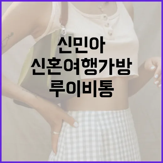 신민아의 신혼여행 가방 스타일링 팁: 루이비통 아이템 활용법 - 요약